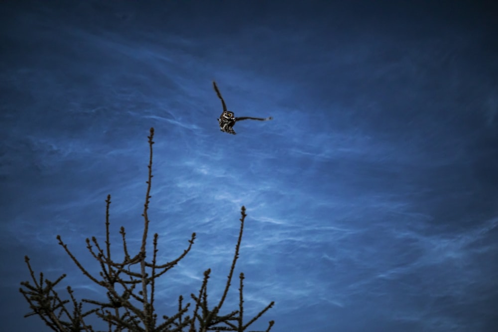 a plane flying high up in the sky