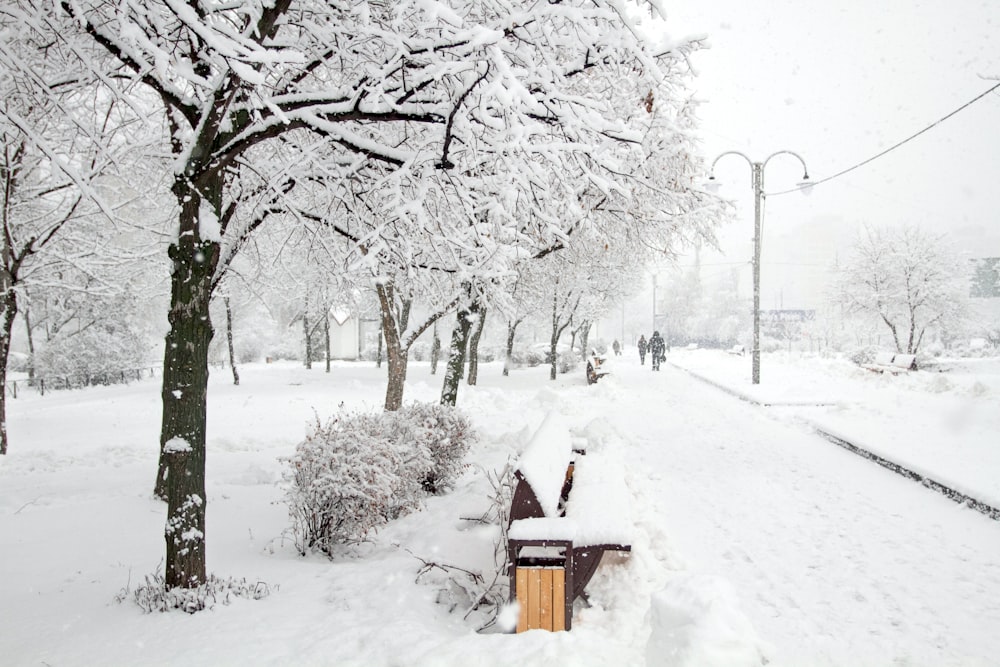 木々の横の雪に覆われたベンチ