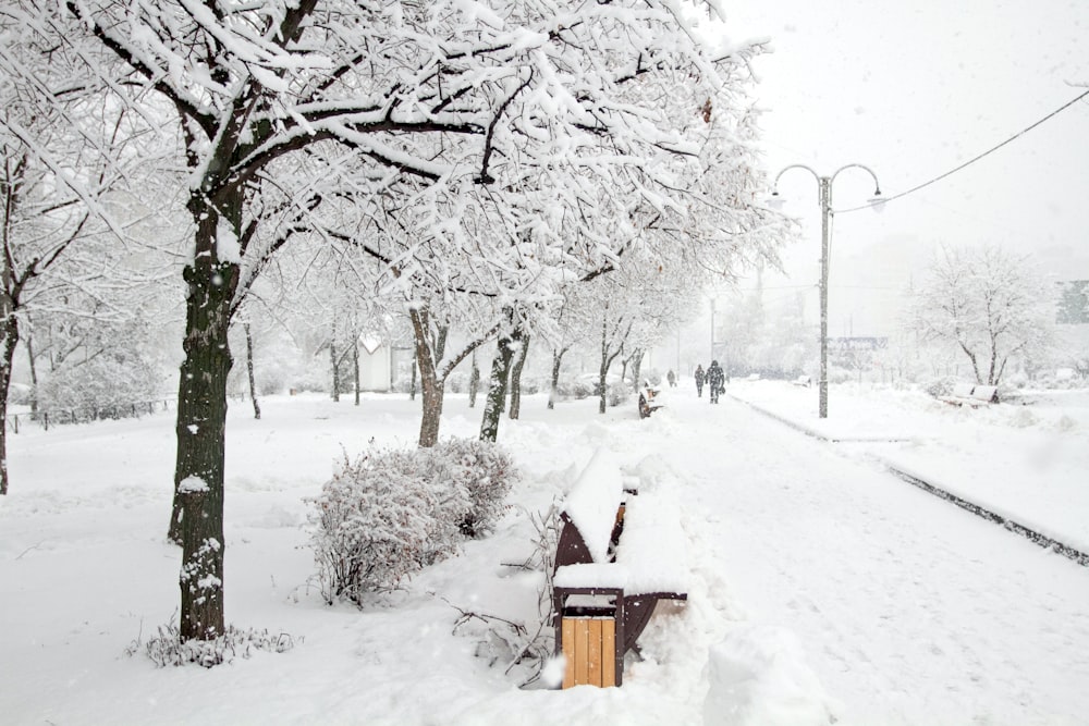 a bench covered in snow next to a tree