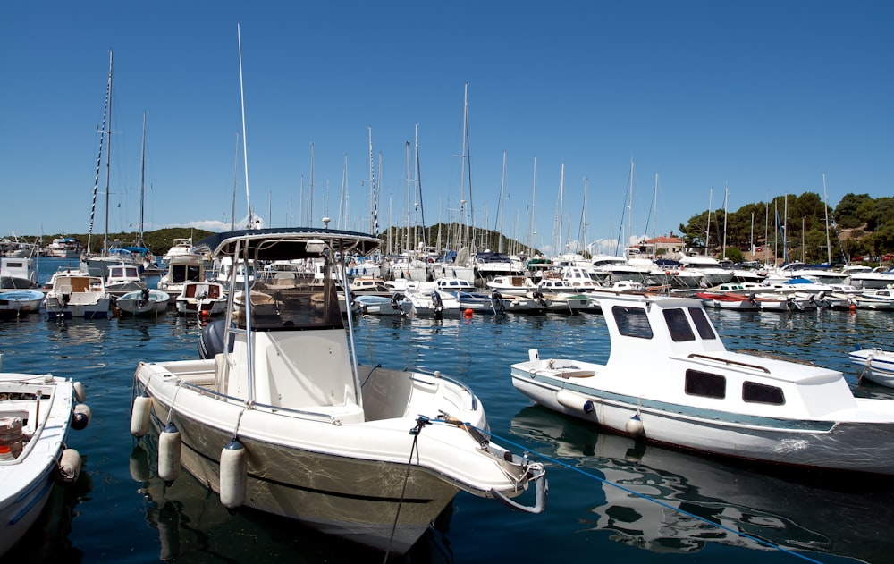 a bunch of boats that are in the water