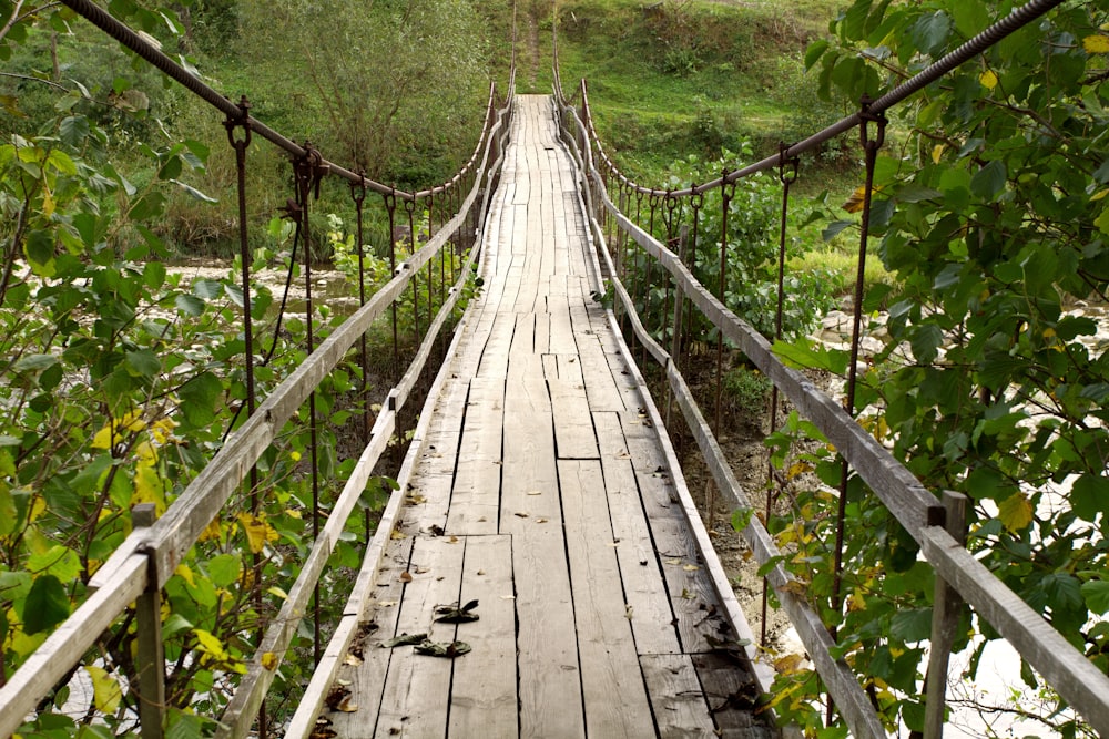 a wooden suspension bridge over a river surrounded by greenery