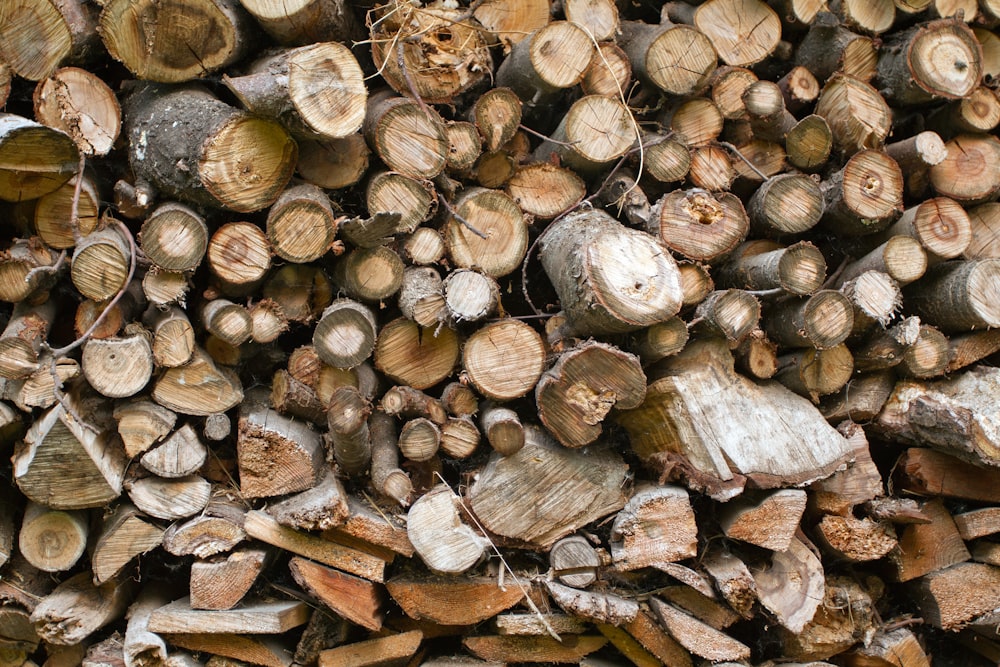 Un montón de madera que ha sido cortada