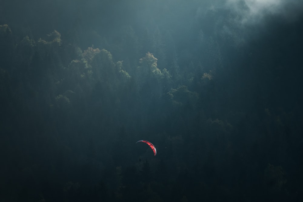 a paraglider glides through a dark forest