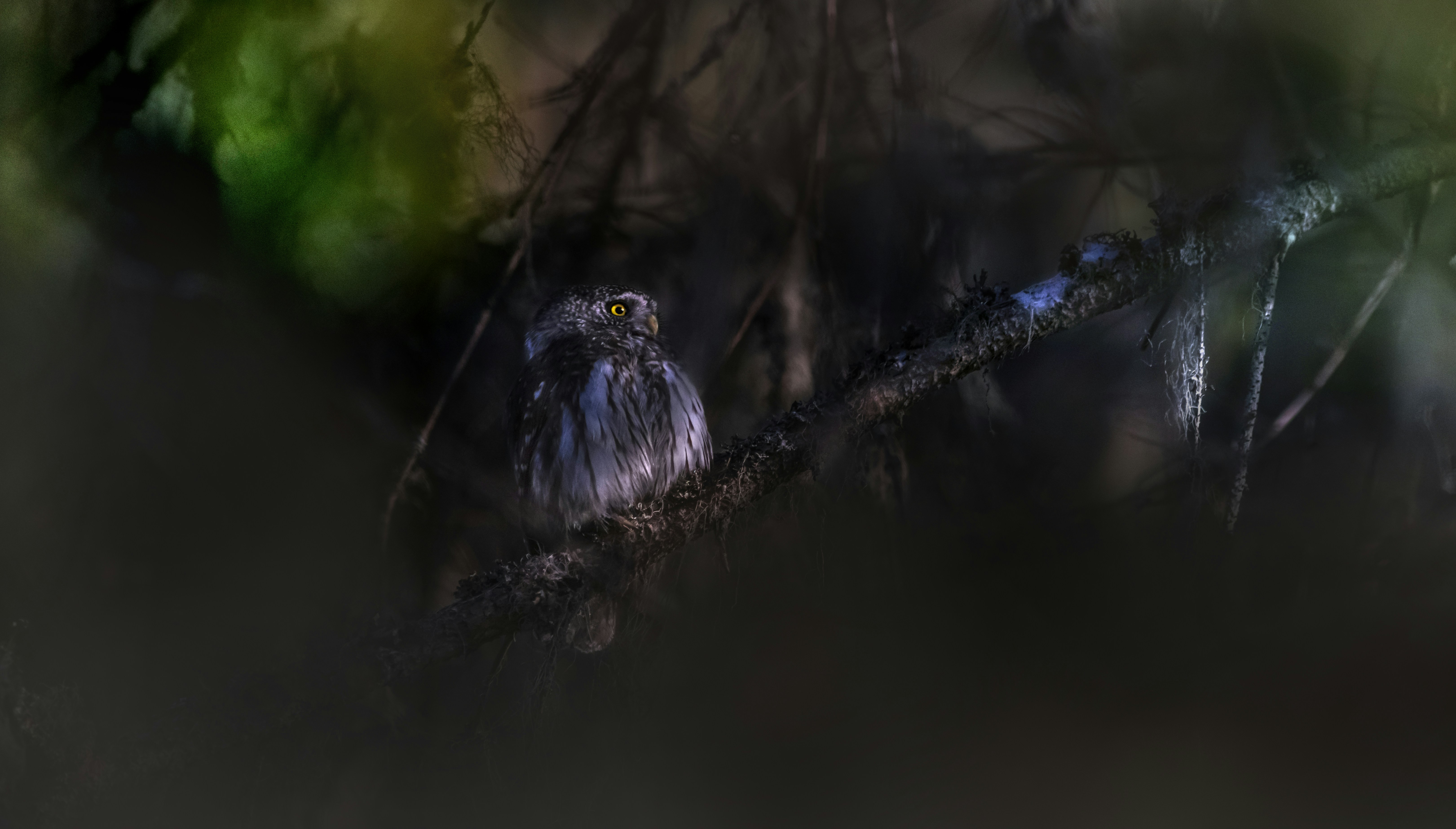 Photo by erik_karits