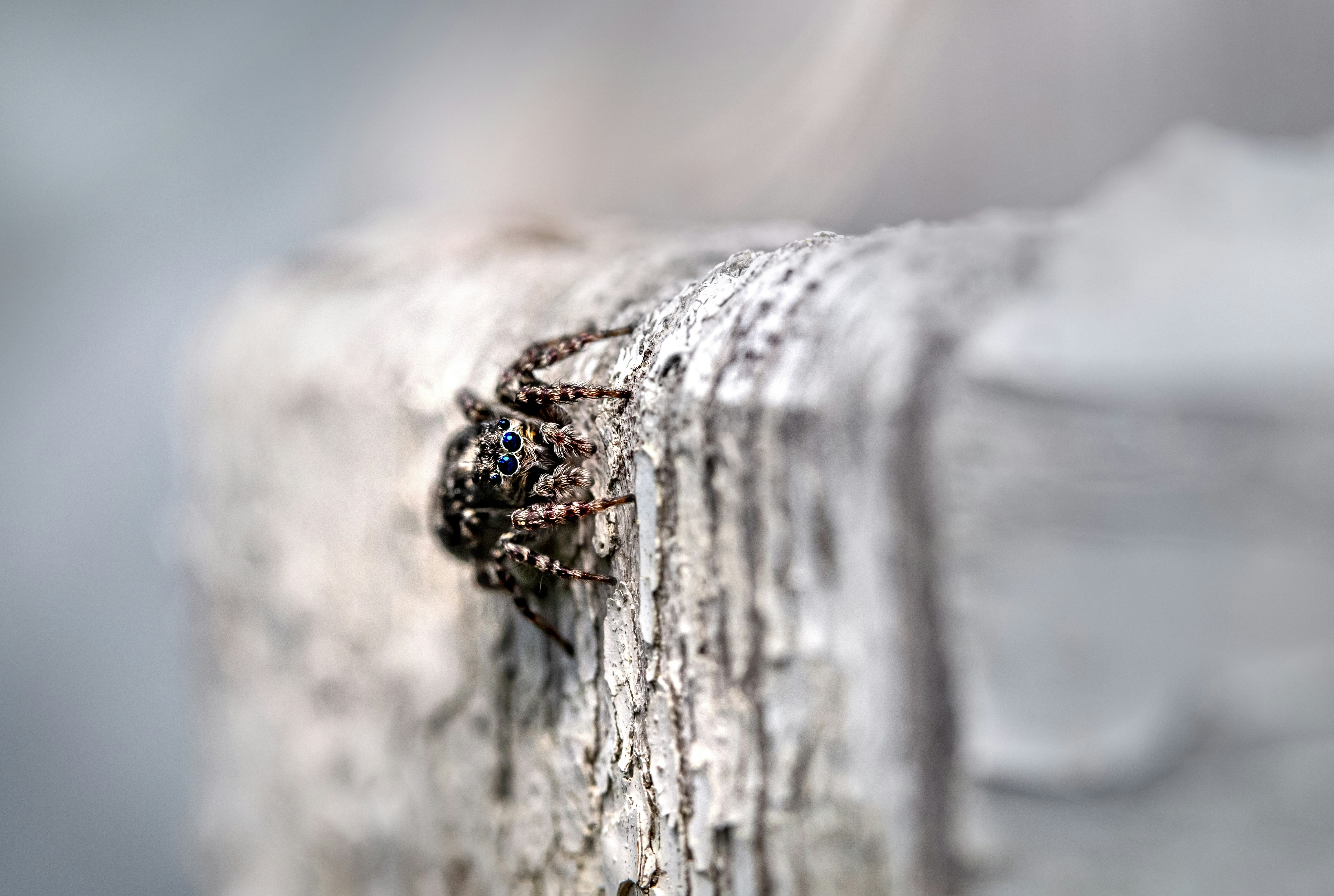 Photo by erik_karits