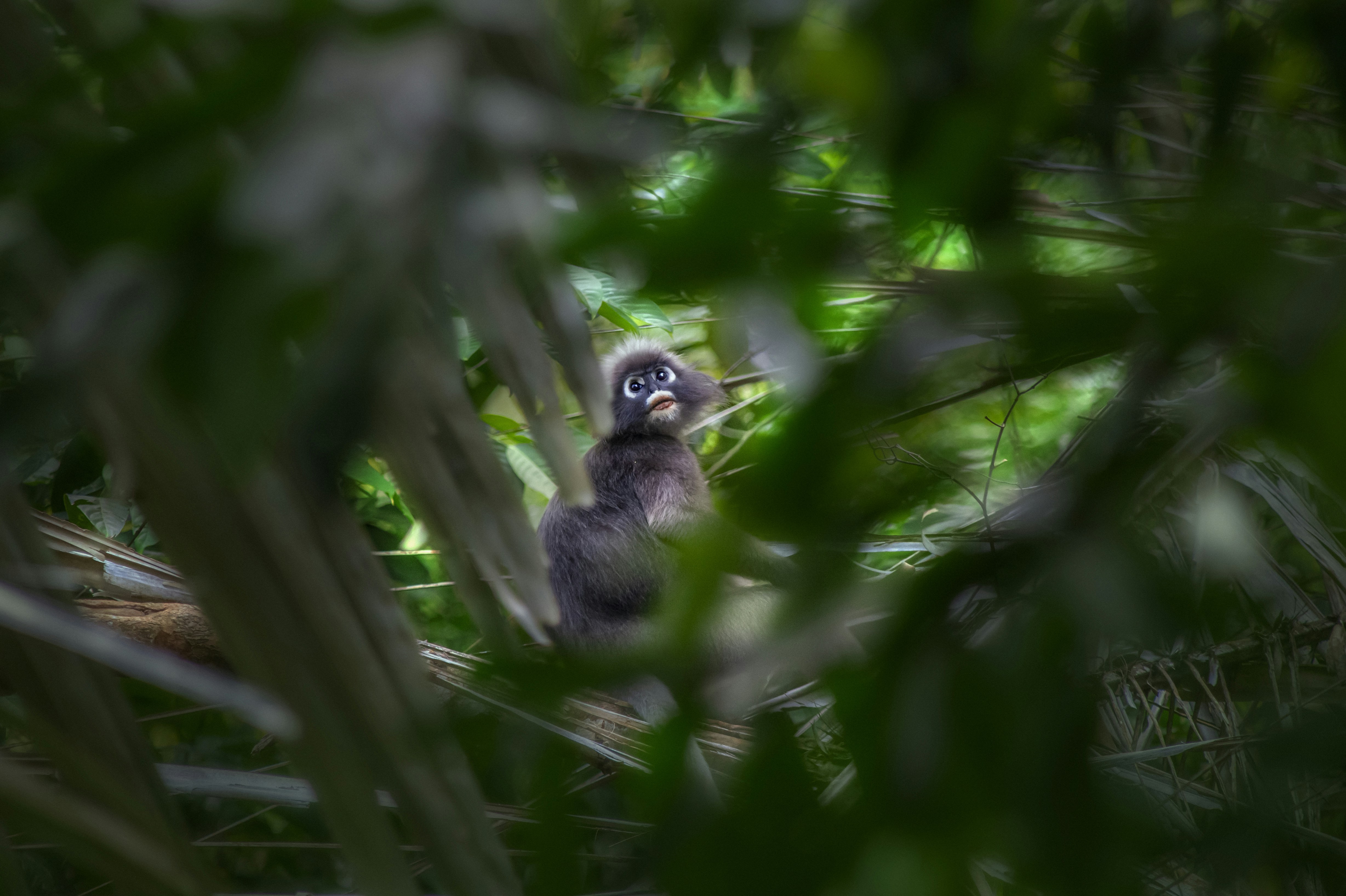 Photo by erik_karits