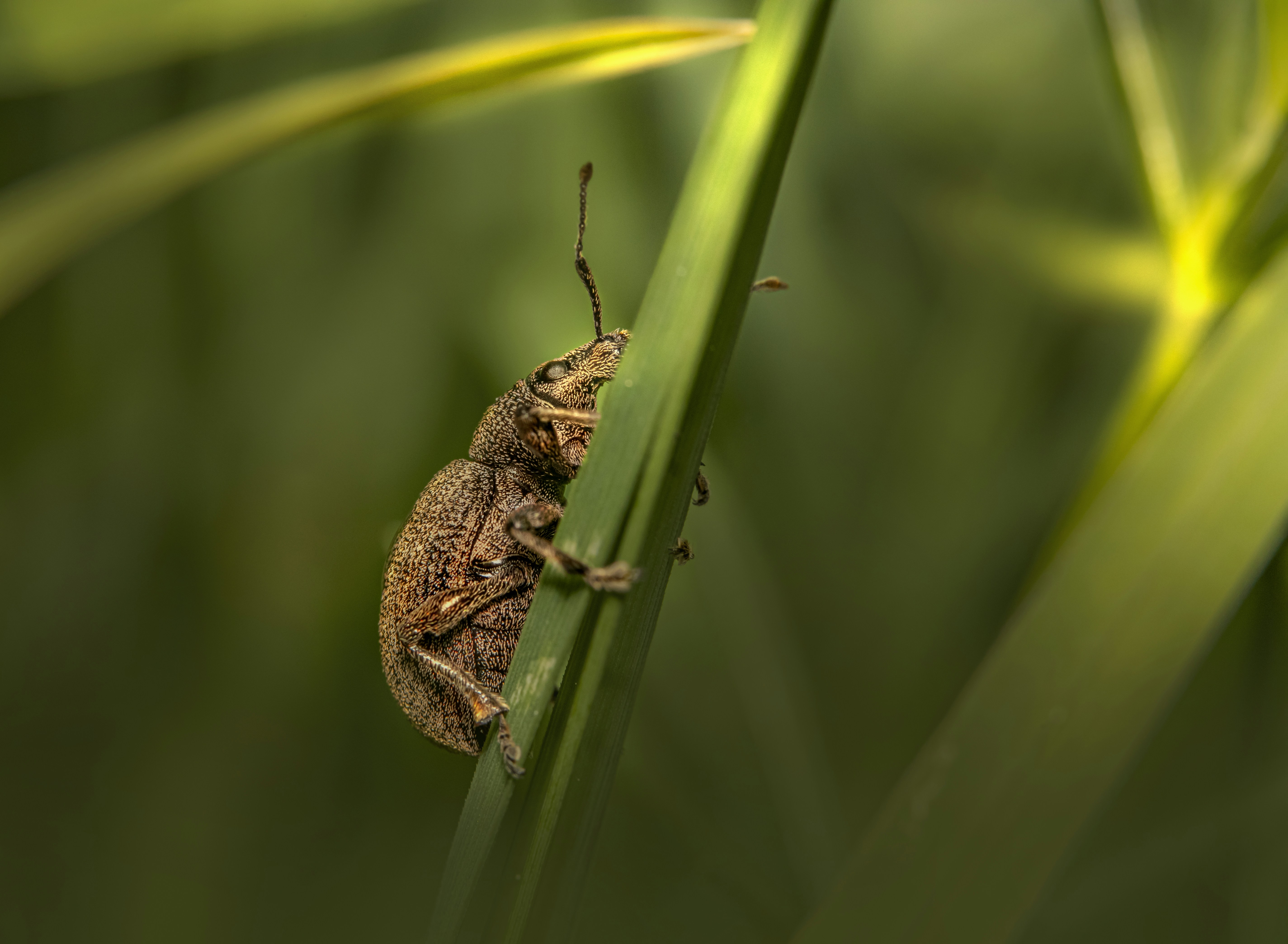 Photo by erik_karits
