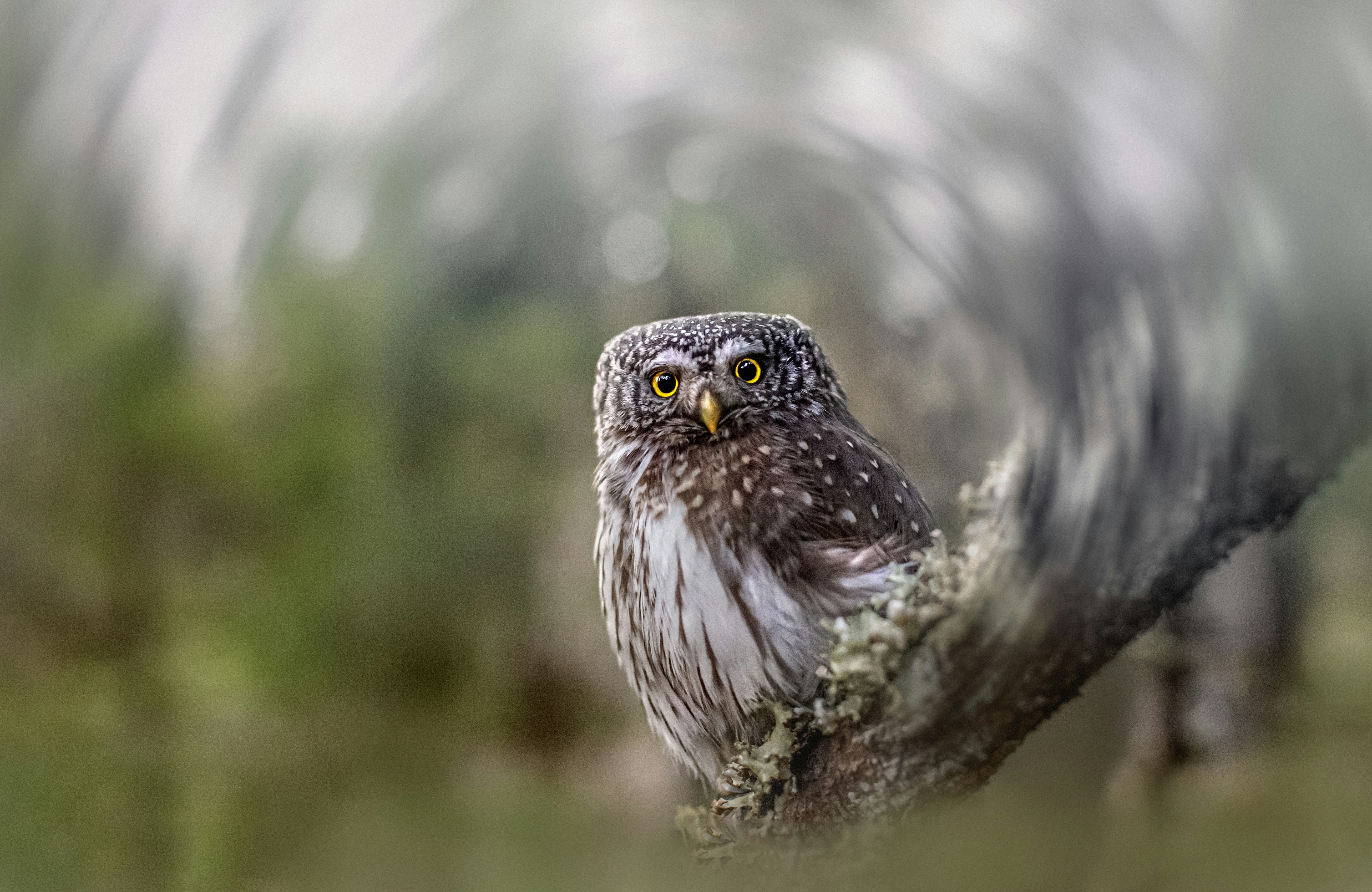 Photo by erik_karits