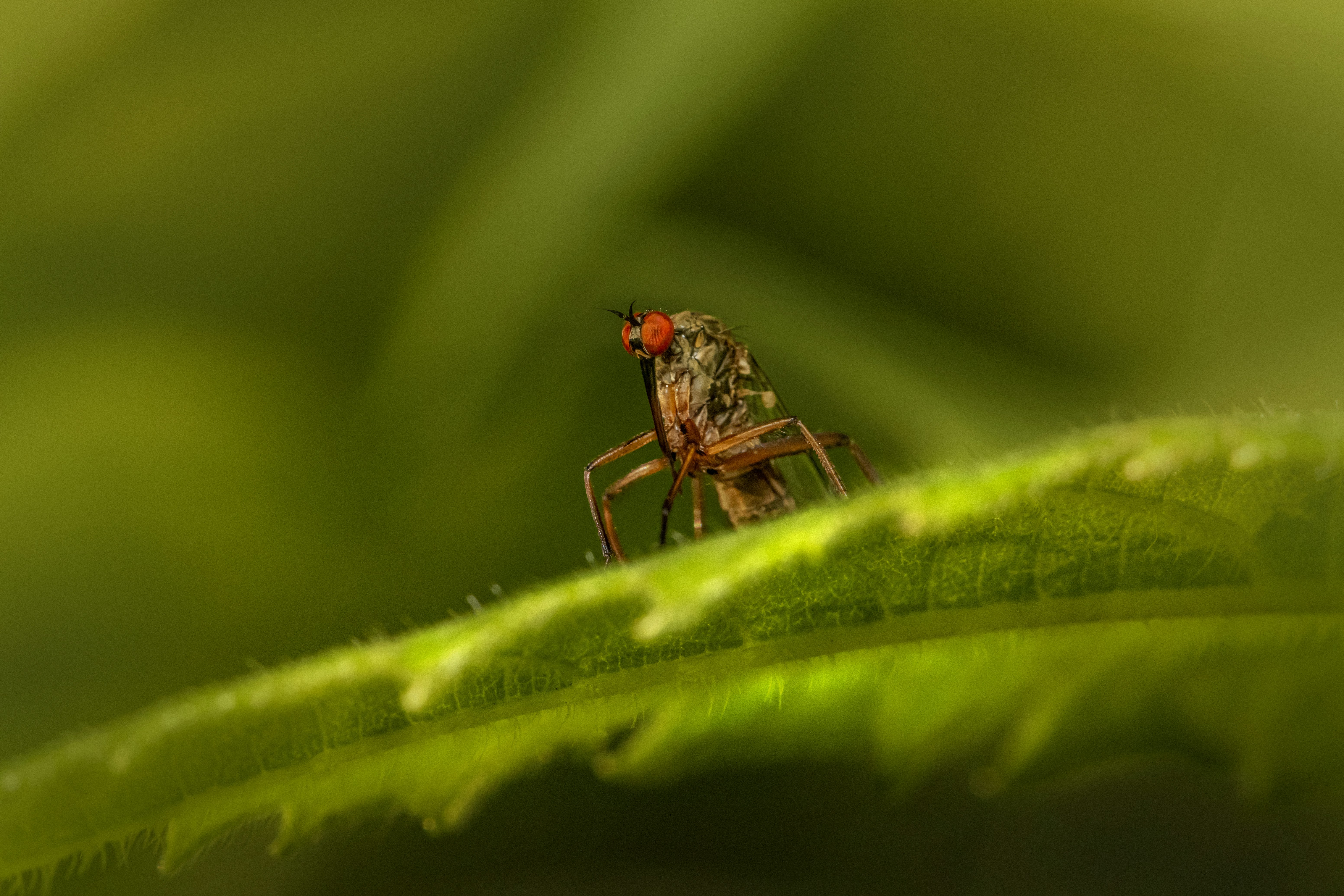 Photo by erik_karits