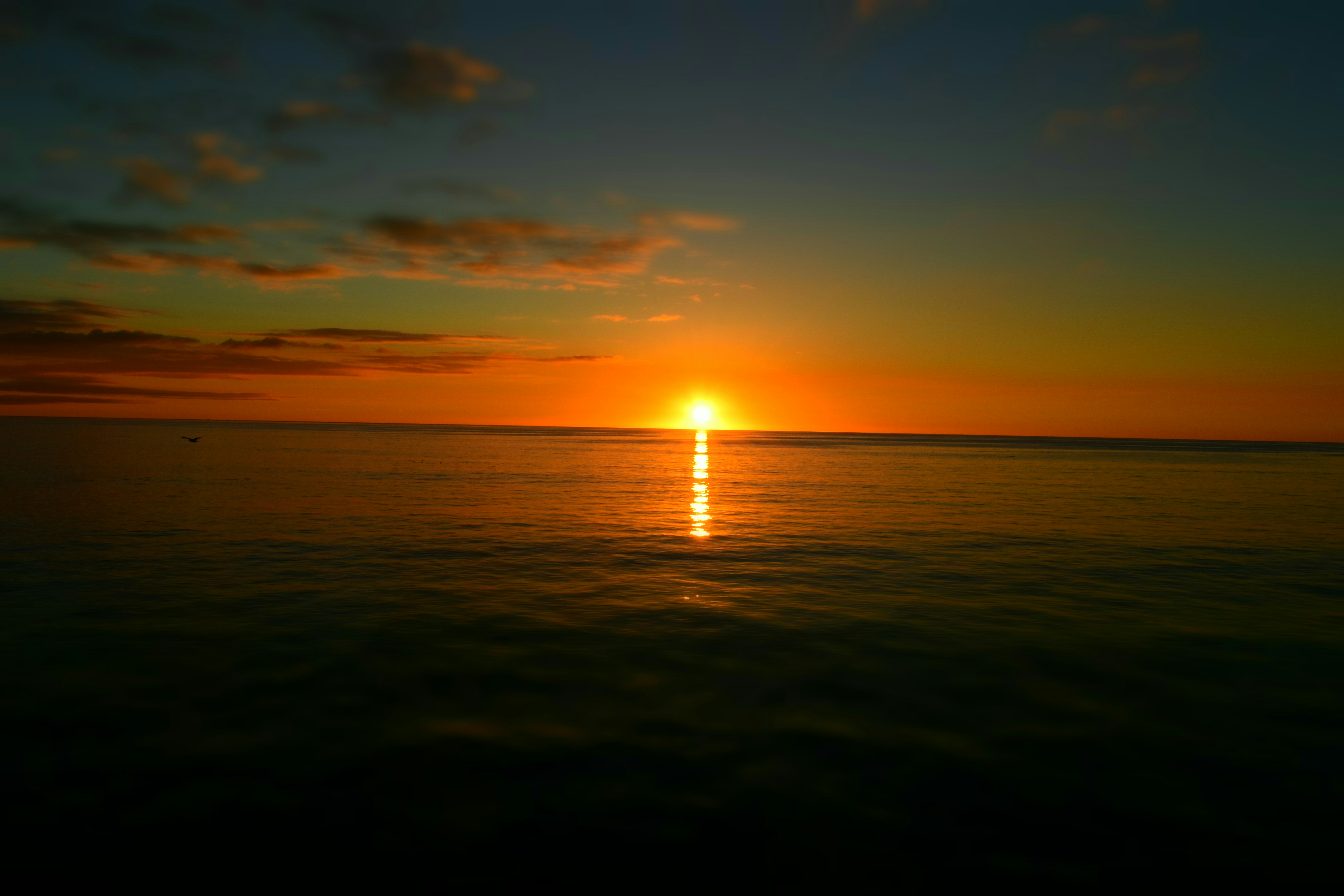 Photo by tim777