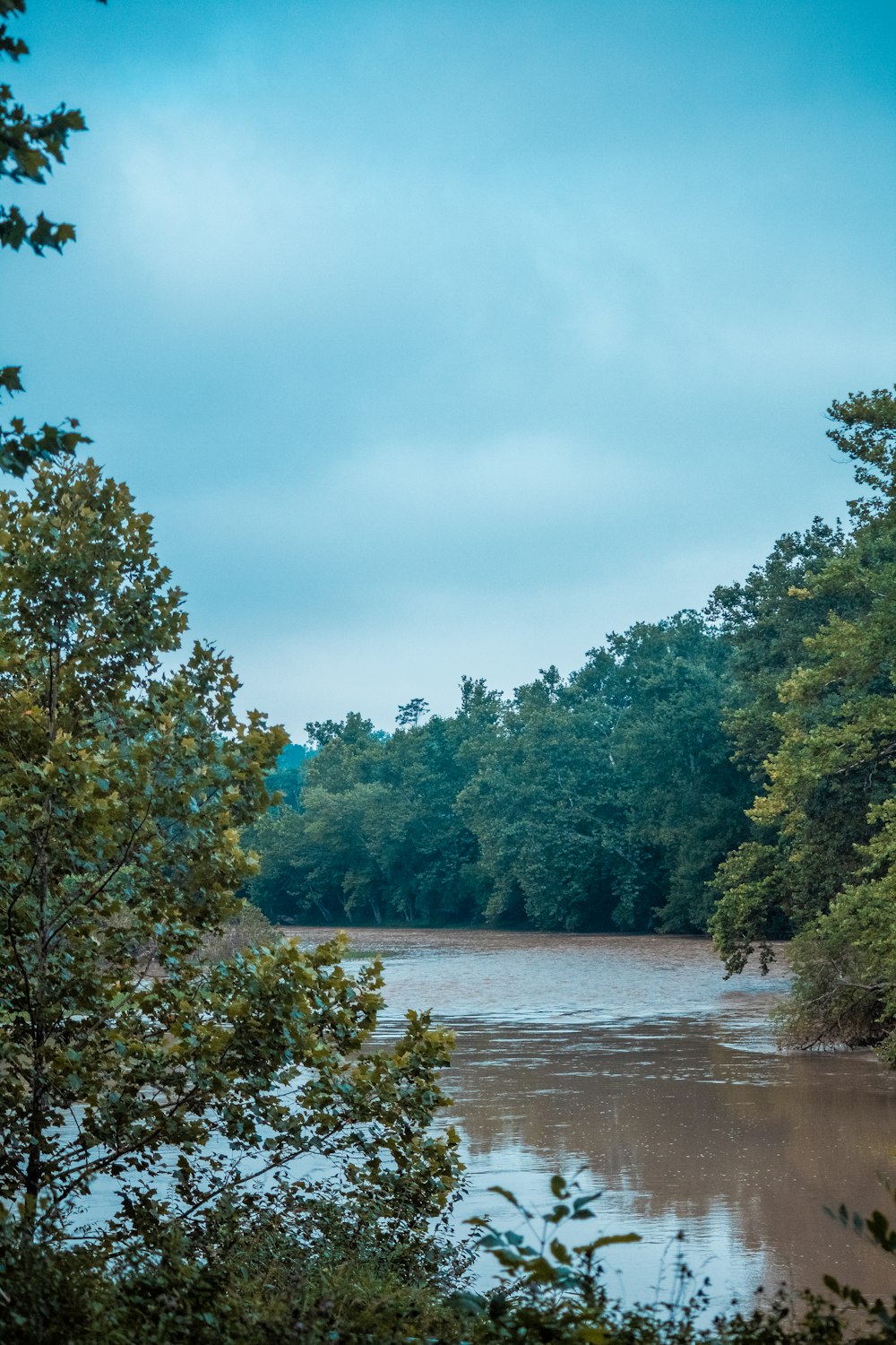 a body of water surrounded by trees on a cloudy day