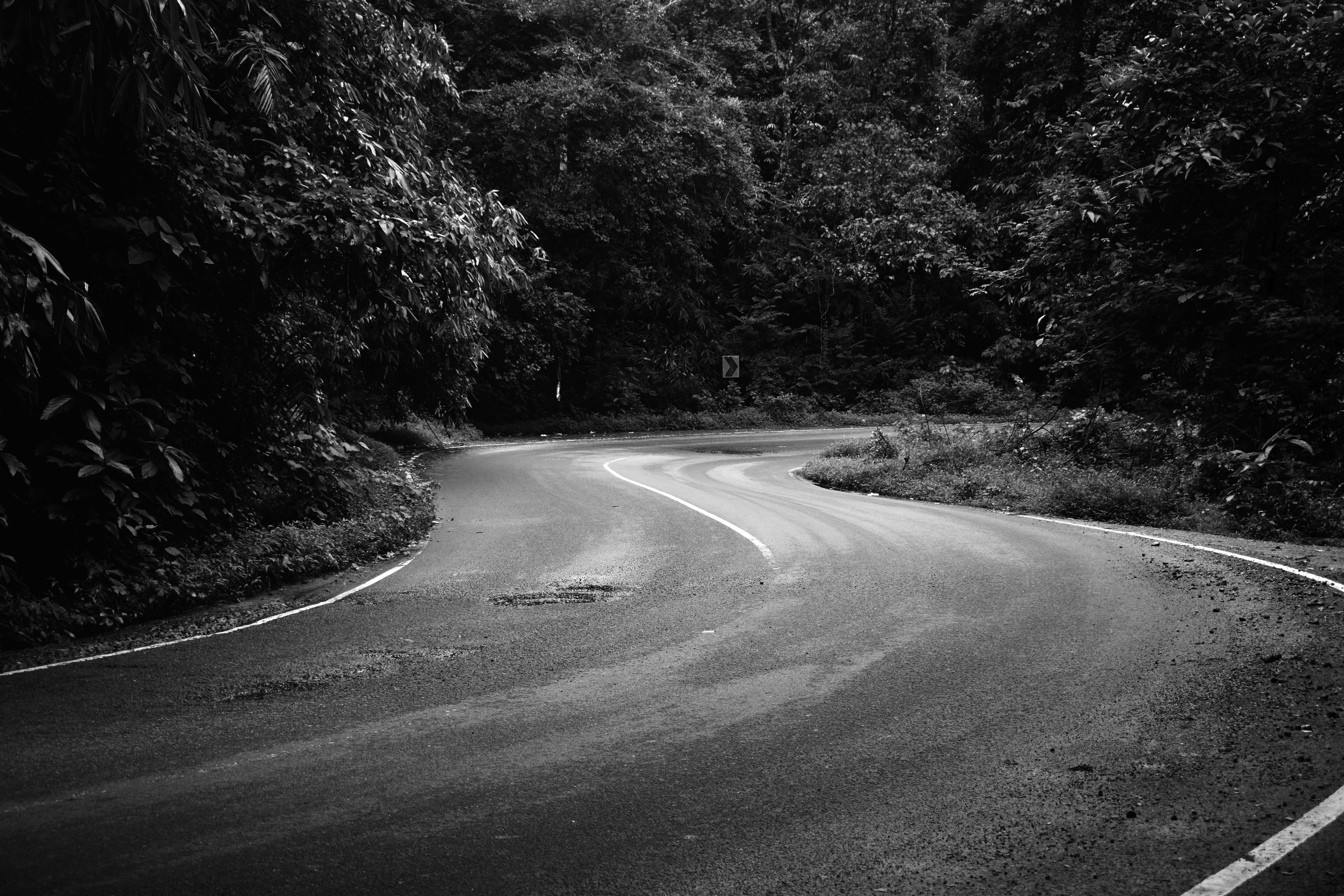 Vestibulum purus quam, scelerisque ut