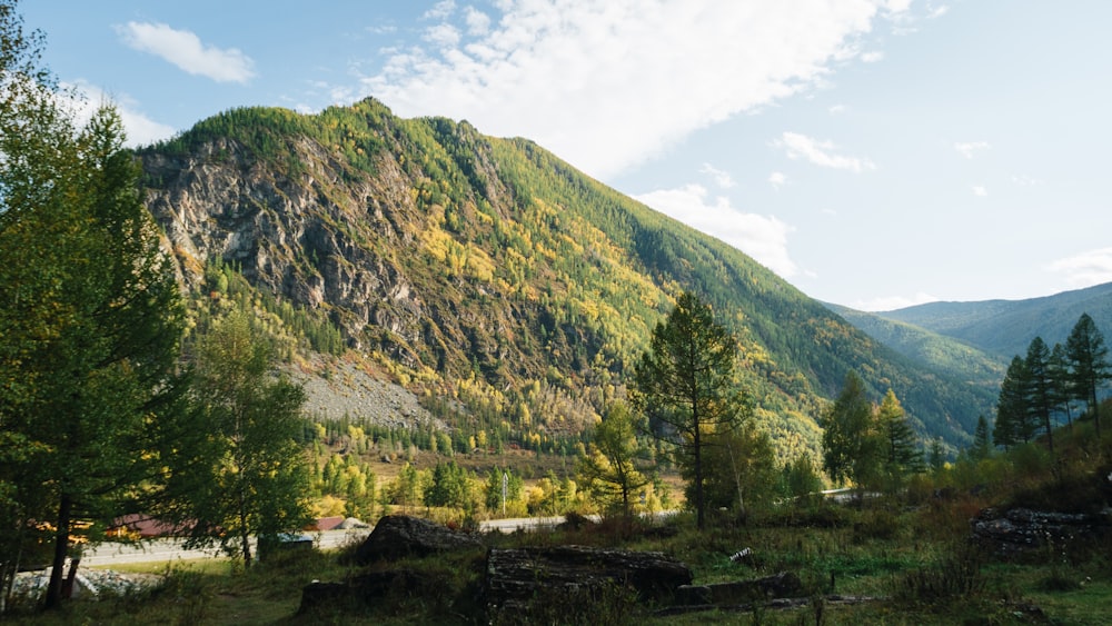 a scenic view of a mountain with trees and a road