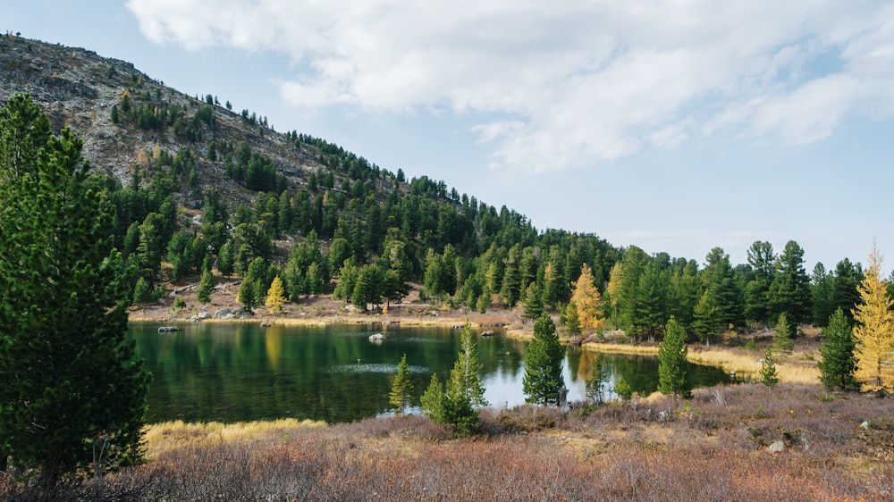 a lake surrounded by a forest with a mountain in the background