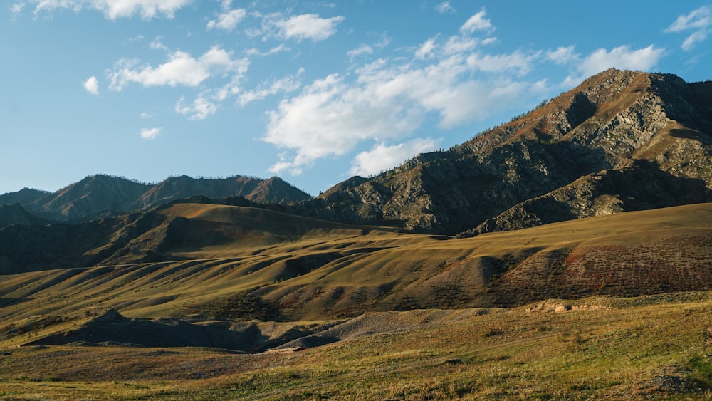 a grassy field with mountains in the background