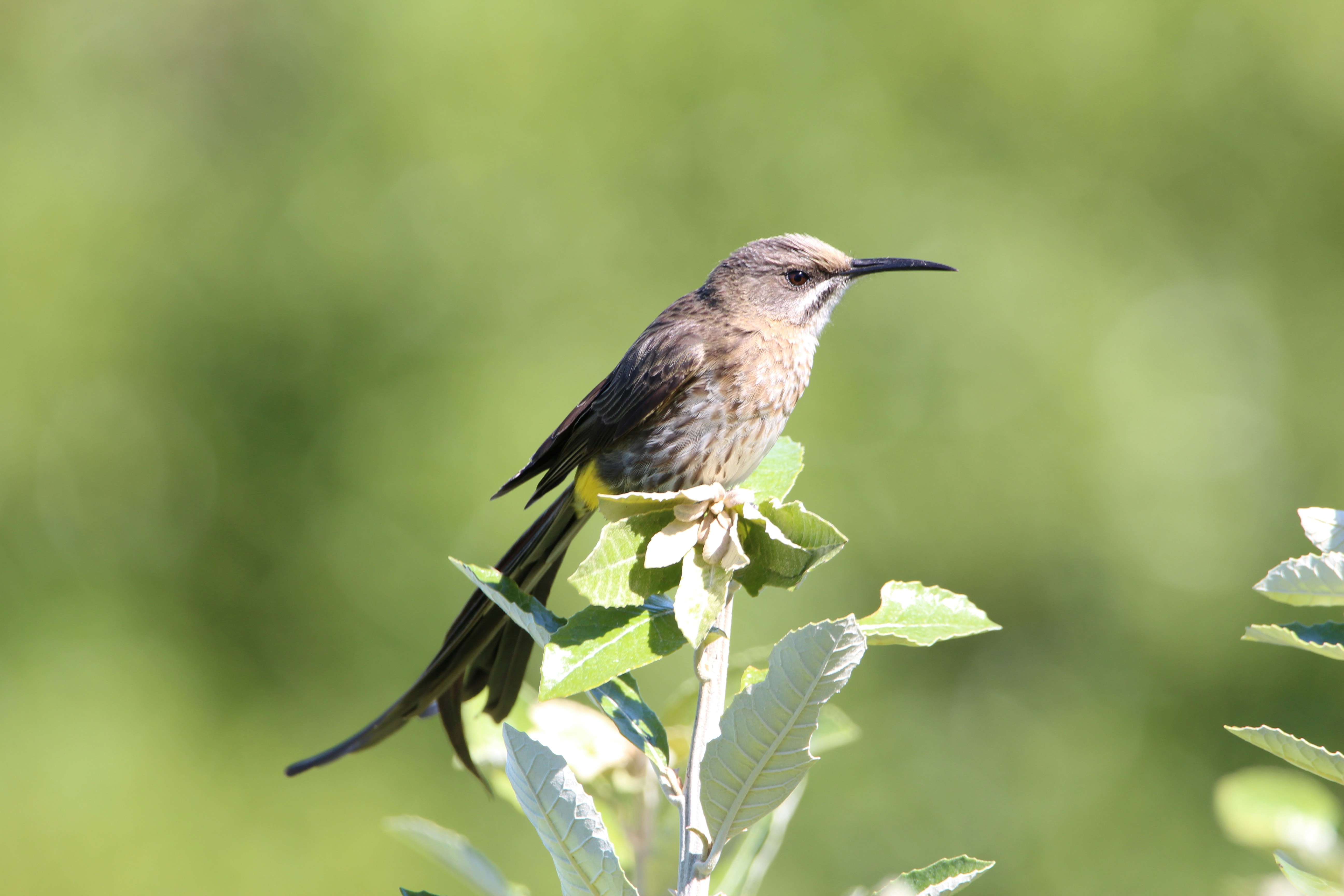 Photo by juantelle_louw_photography