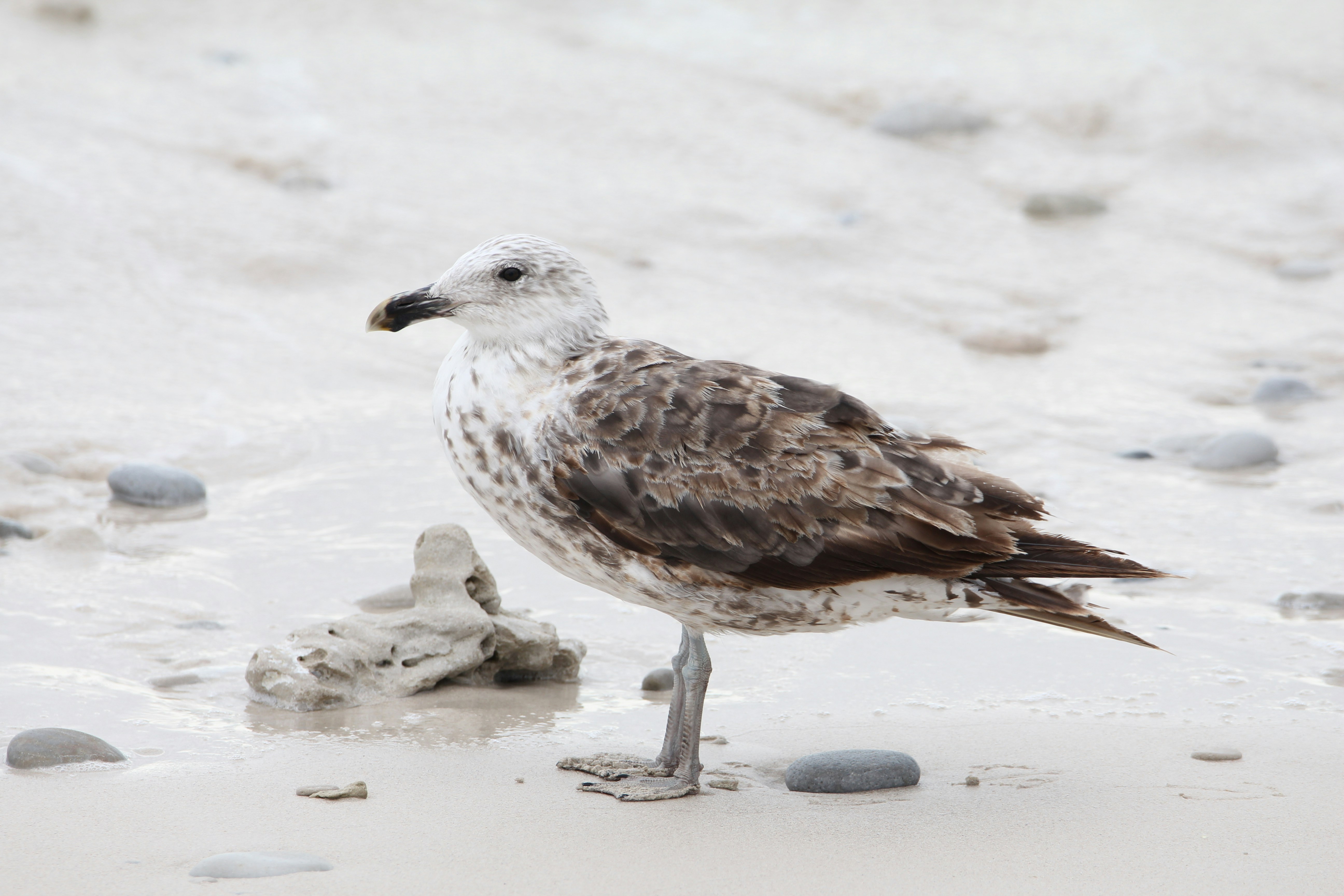 Photo by juantelle_louw_photography