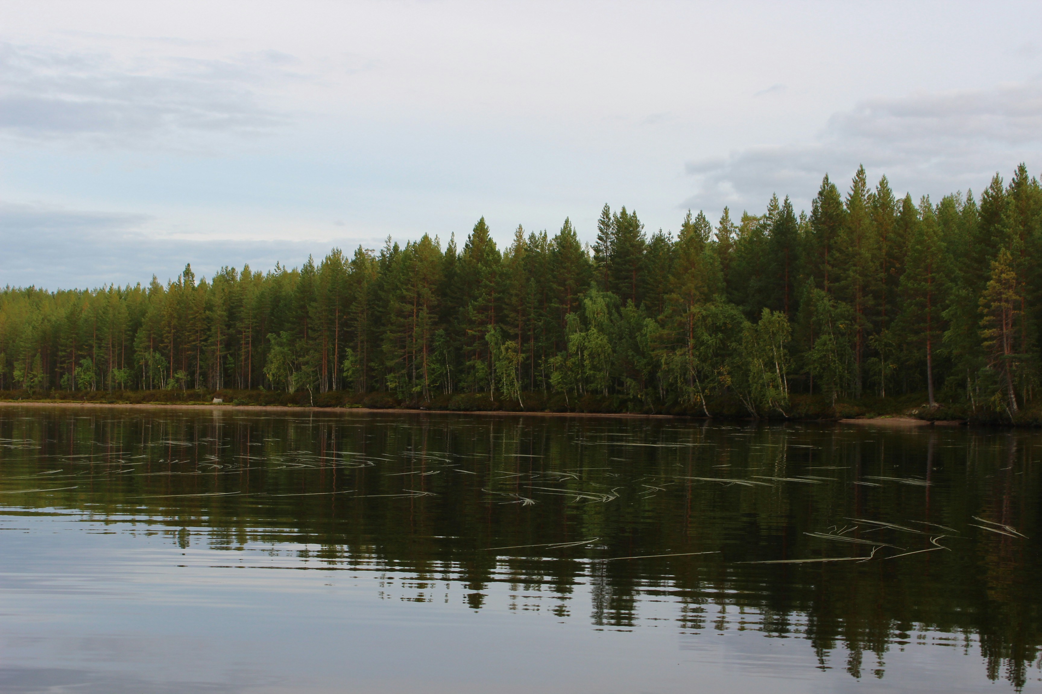 Photo by naurava_keith