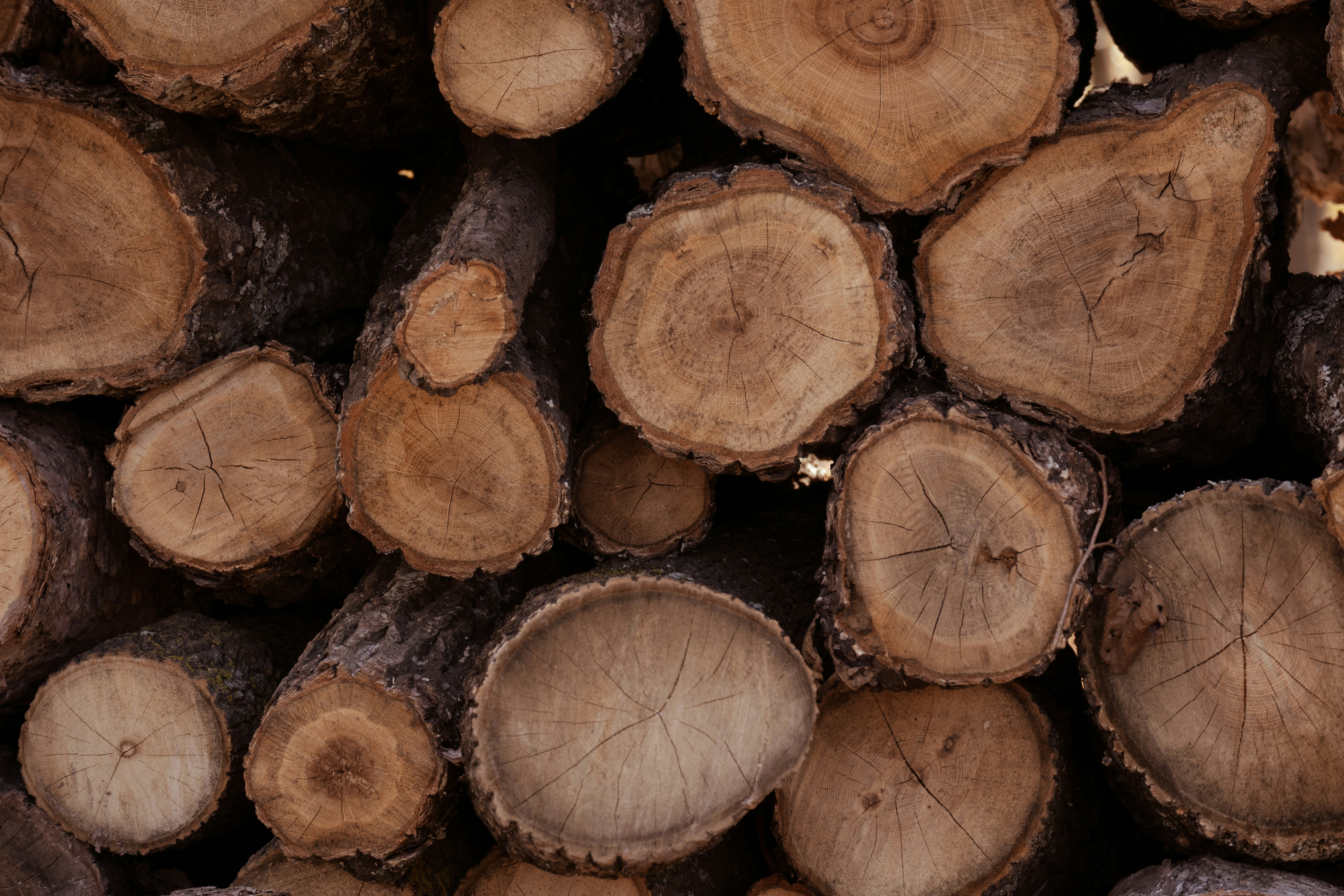 Photo by nomad_caviare