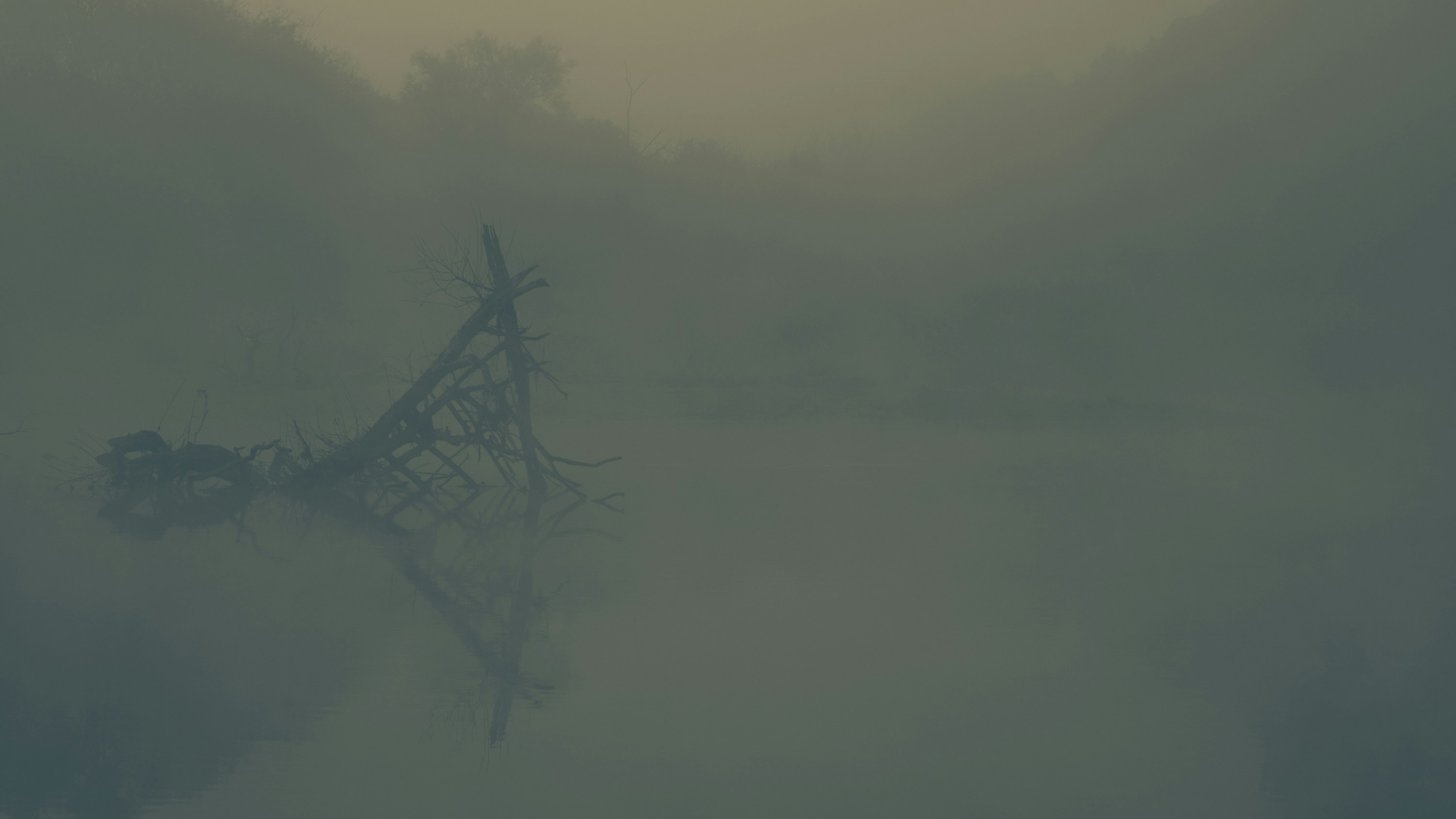 Photo by nomad_caviare