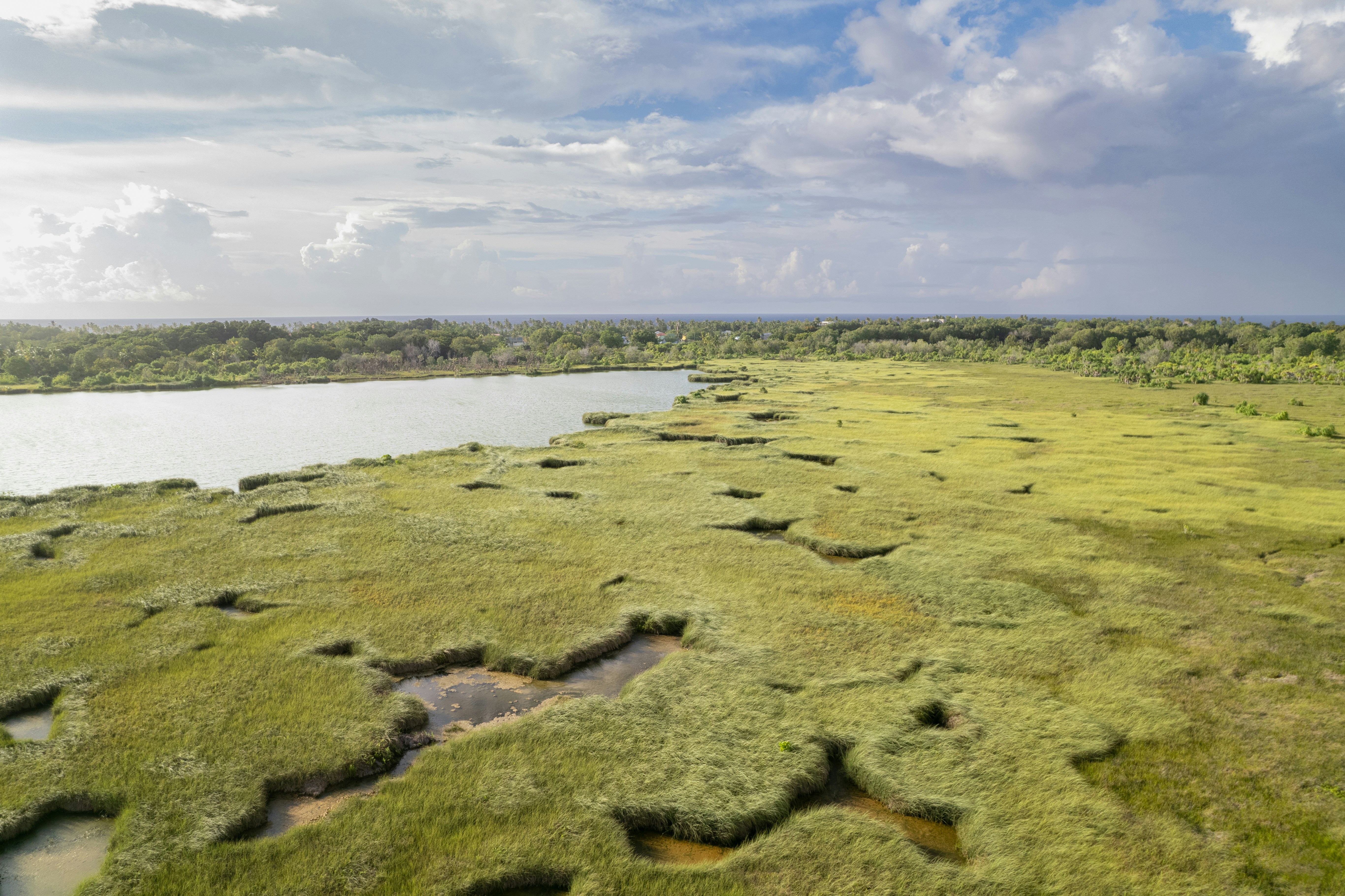 The Prehistoric Southwest: A Watery Wonderland (image credits: unsplash)