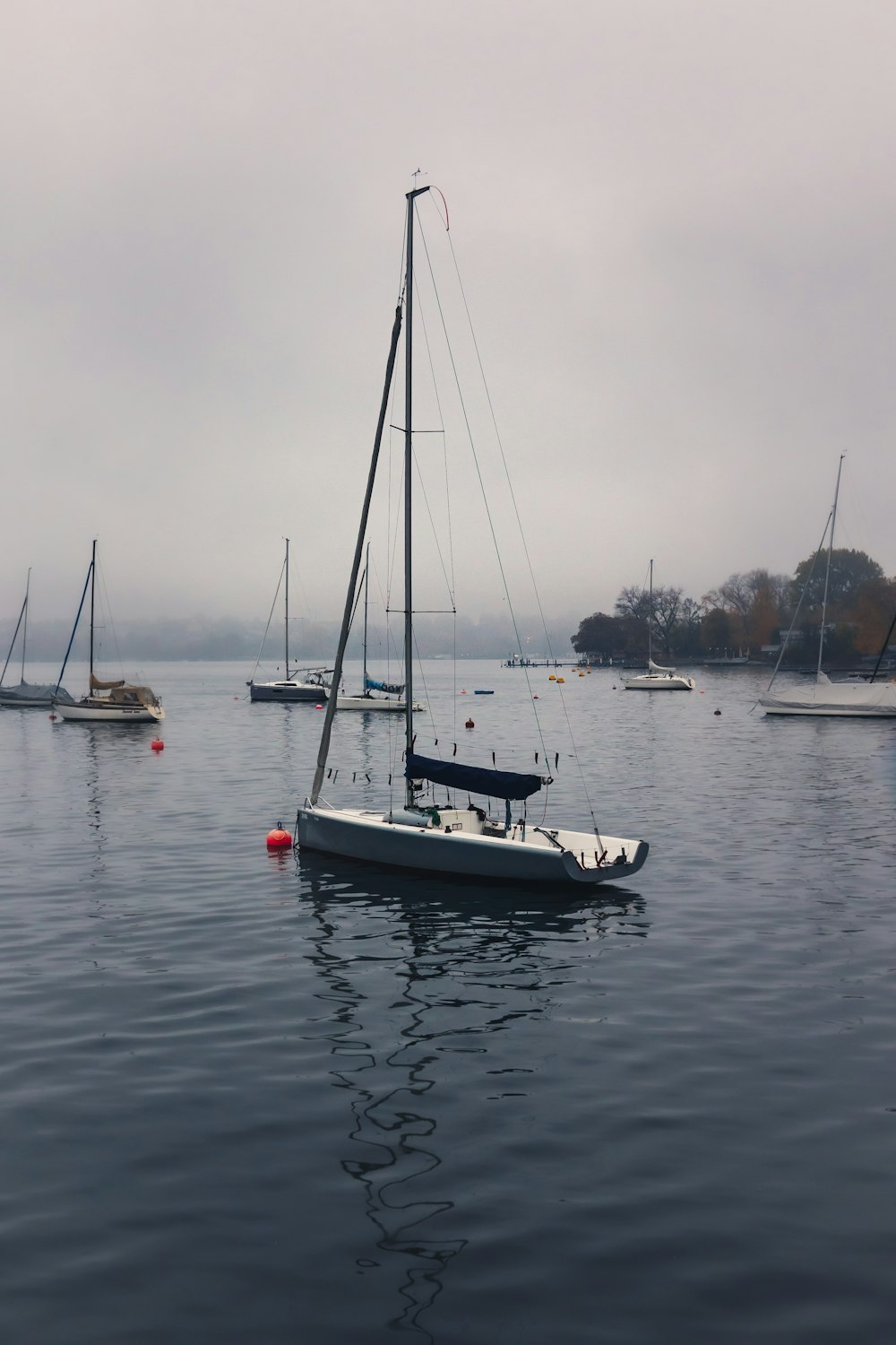 Eine Gruppe von Segelbooten, die auf einem Gewässer schwimmen