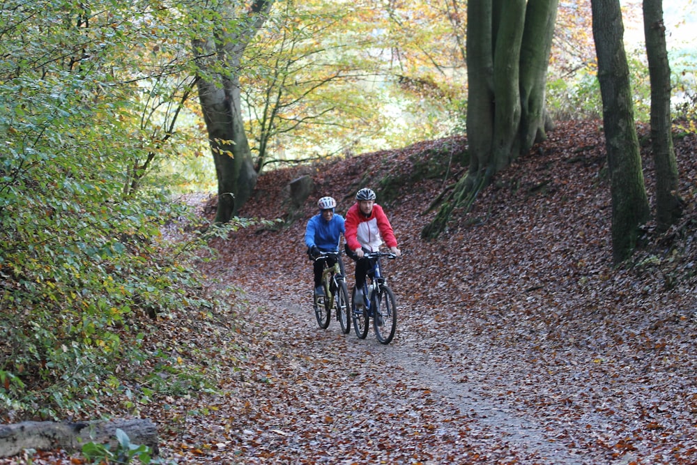 a couple of people riding bikes down a leaf covered road