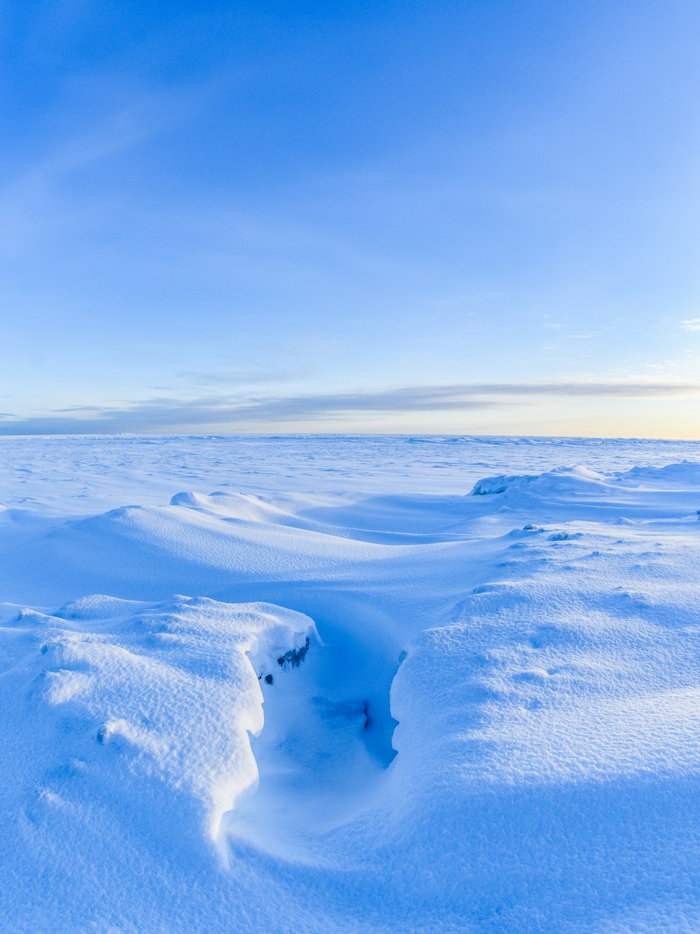 a snow covered landscape with footprints in the snow