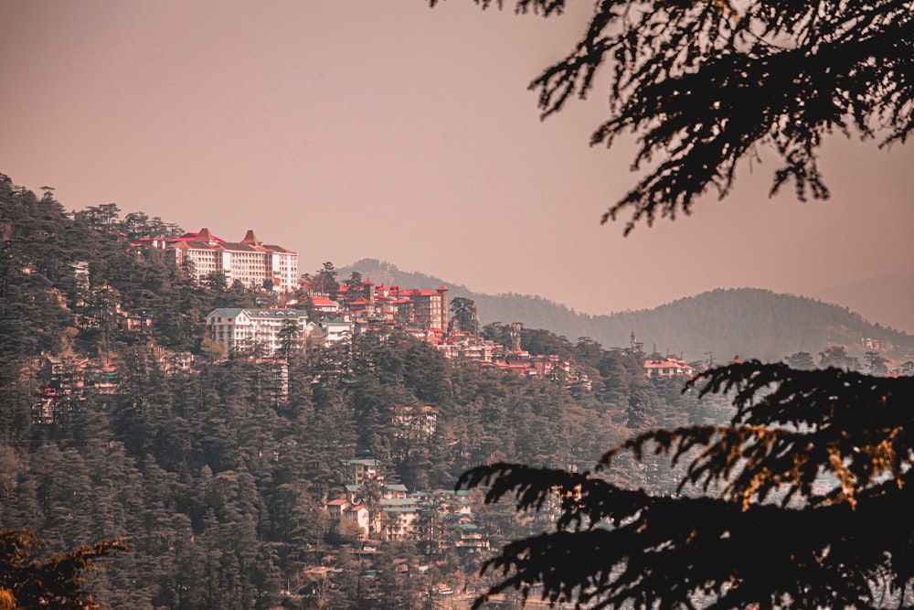 a view of a town on a hill with trees