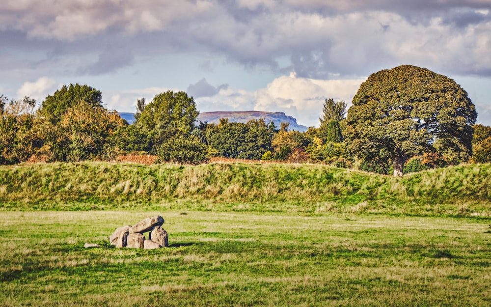 a grassy field with a large rock in the middle of it