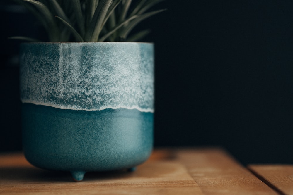 a potted plant sitting on top of a wooden table