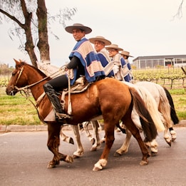 Several men in traditional attire are riding horses along a road. The riders are wearing wide-brimmed hats and ponchos with blue, beige, and red stripes. They are in a line, moving past trees and a field with a building in the background.