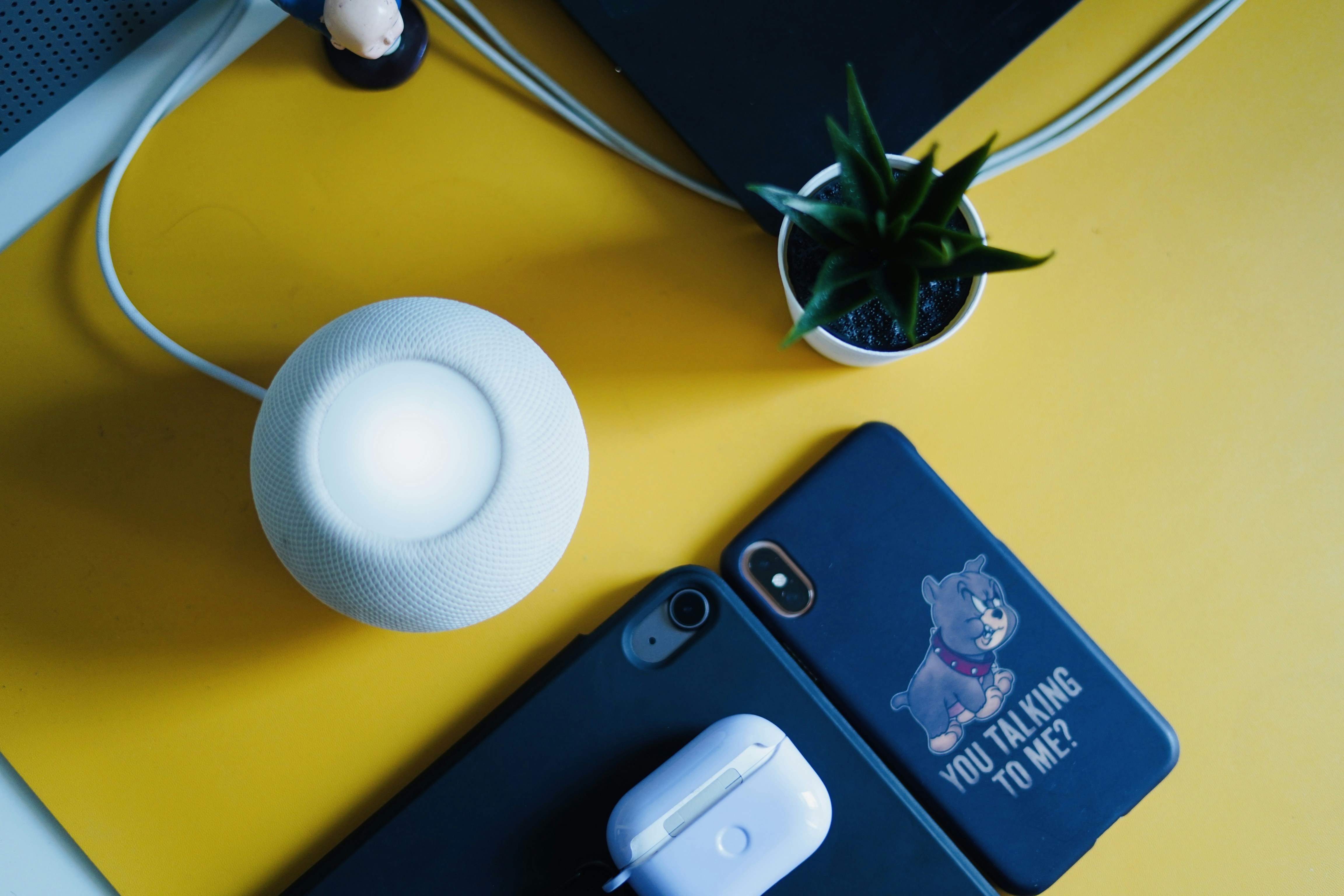 Photo by shyammishra94