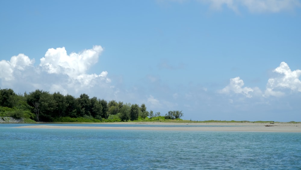 a body of water with trees in the background