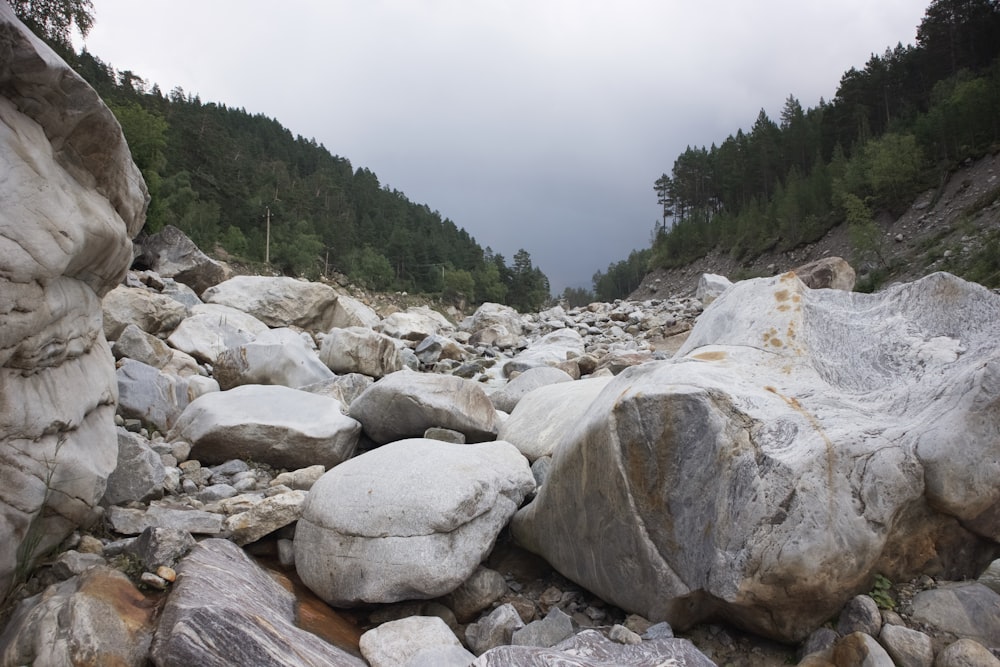 a rocky river bed filled with lots of rocks