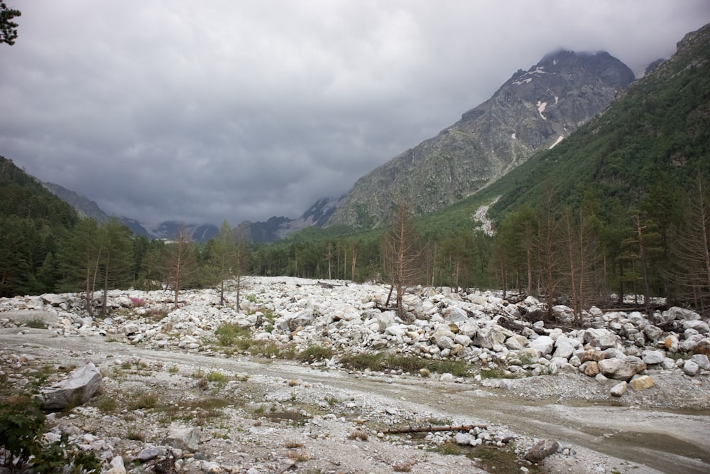 a rocky river with a mountain in the background