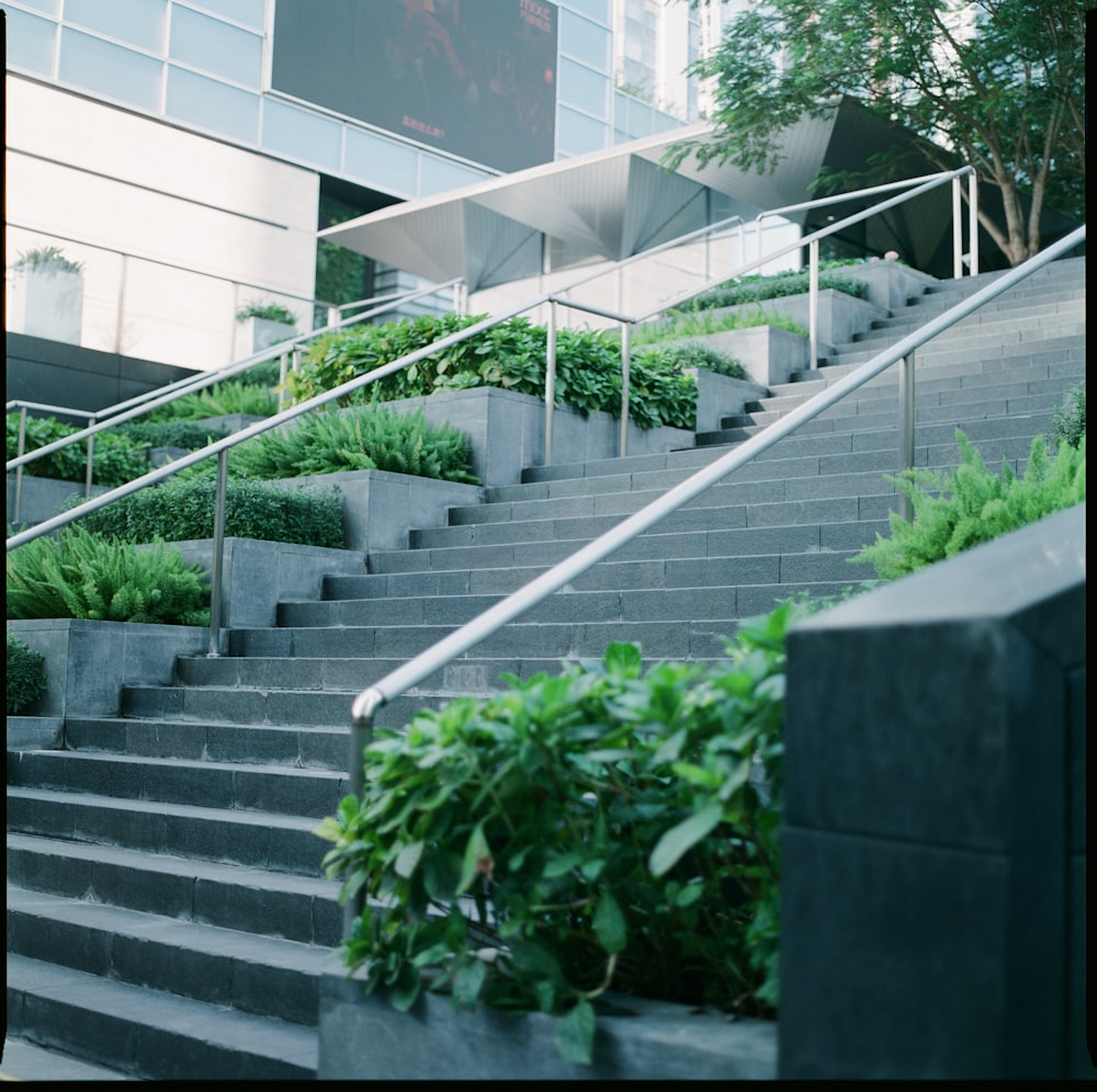 um conjunto de escadas que levam até um edifício