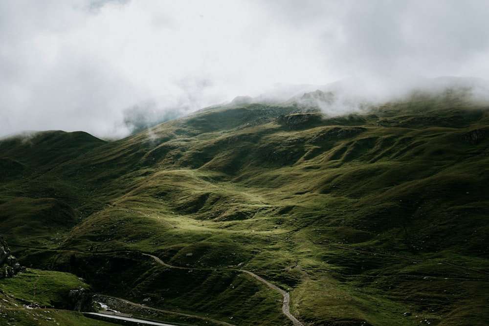 a lush green hillside covered in lots of green grass