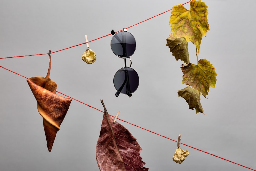 a pair of sunglasses hanging from a clothes line