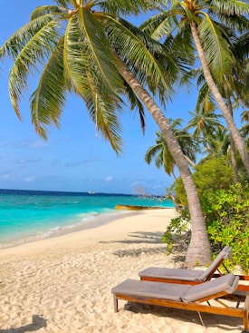 A serene tropical beach scene featuring two sun loungers positioned on soft, light-colored sand under the shade of tall, lush palm trees. The turquoise sea gently laps at the shore, and the clear blue sky stretches out above. Verdant bushes add a splash of greenery to the beach's edge.