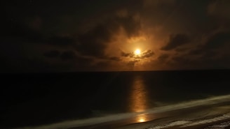 A tranquil beach scene illuminated by moonlight.