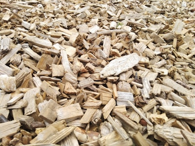 A close-up view of a large pile of wood chips scattered in a random, overlapping manner.
