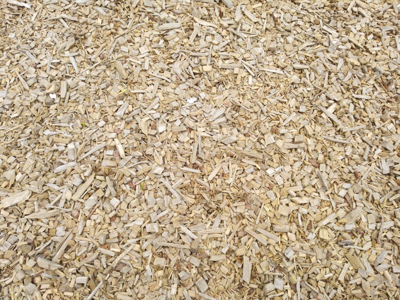 Fresh pile of pale wood grindings and chips left after a stump has been ground out