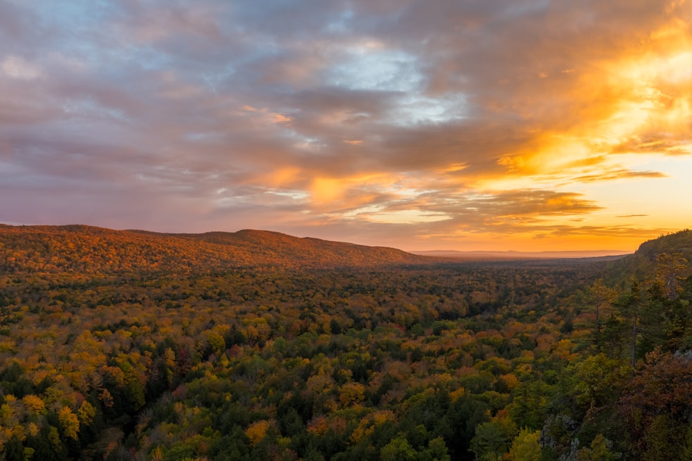 the sun is setting over a forested area