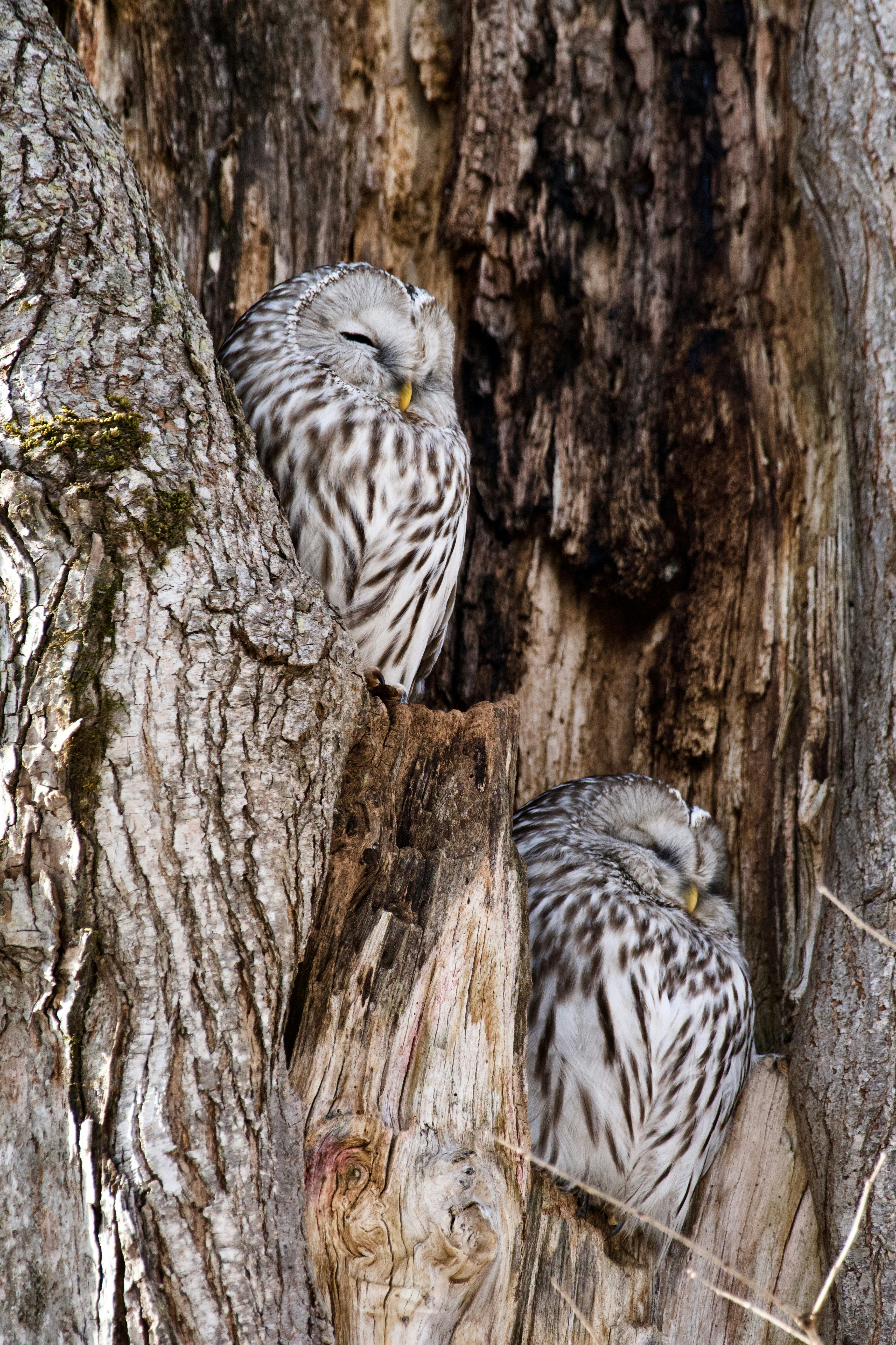 Photo by freezer_nico