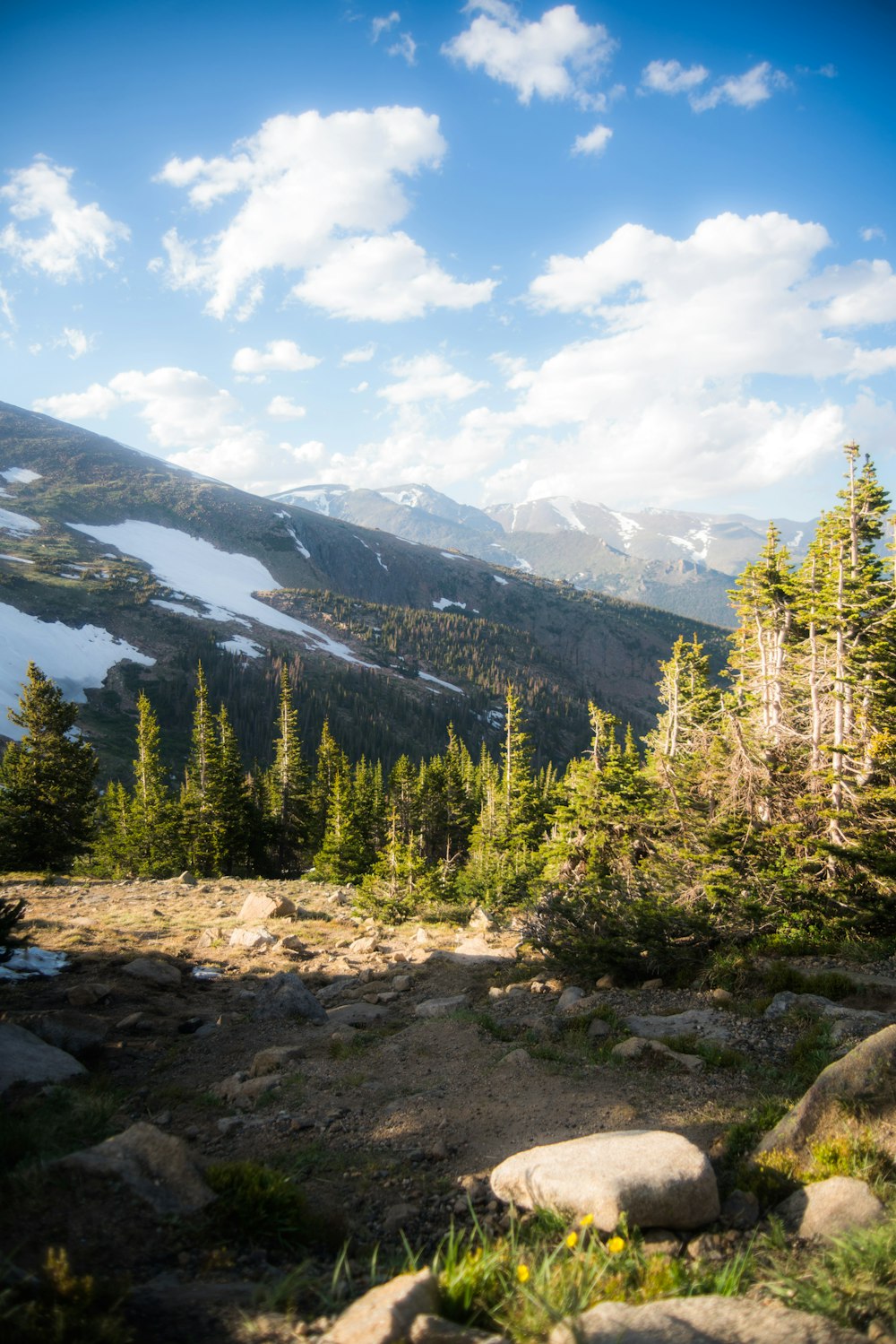 a view of a mountain range with trees and rocks