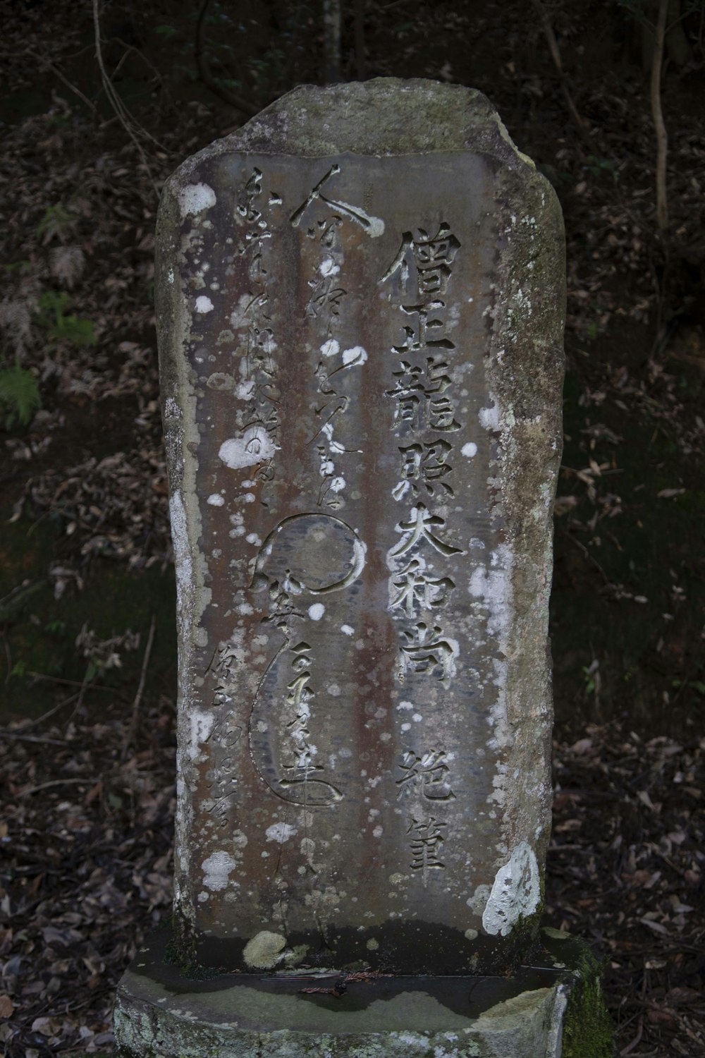 a grave in the middle of a forest