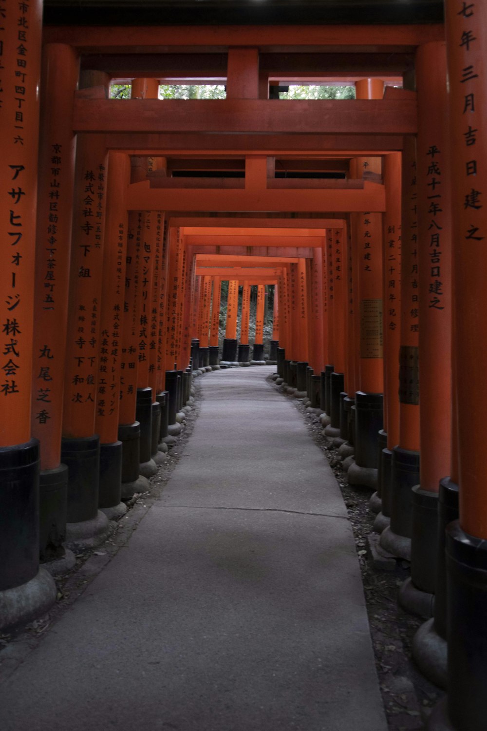 a long walkway lined with lots of red tori tori tori tori tori tori tori tori