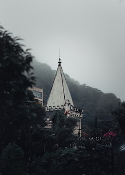 A gothic-style pointed tower is surrounded by dense green foliage, partially obscured by mist. The structure appears aged, with intricate architectural details. The background is dominated by fog-covered hills, adding a mysterious and atmospheric feel.