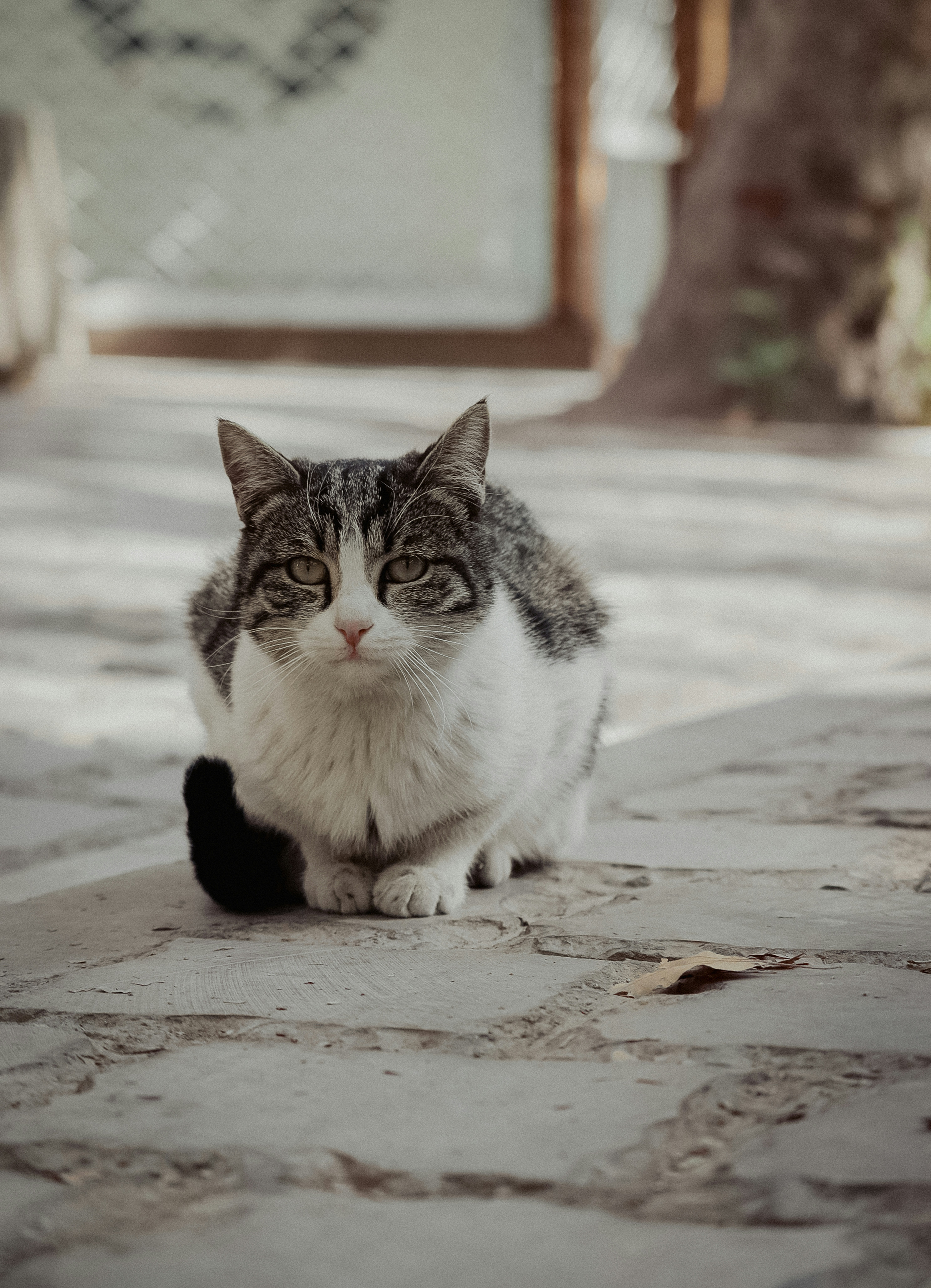 Photo by sinabahar76